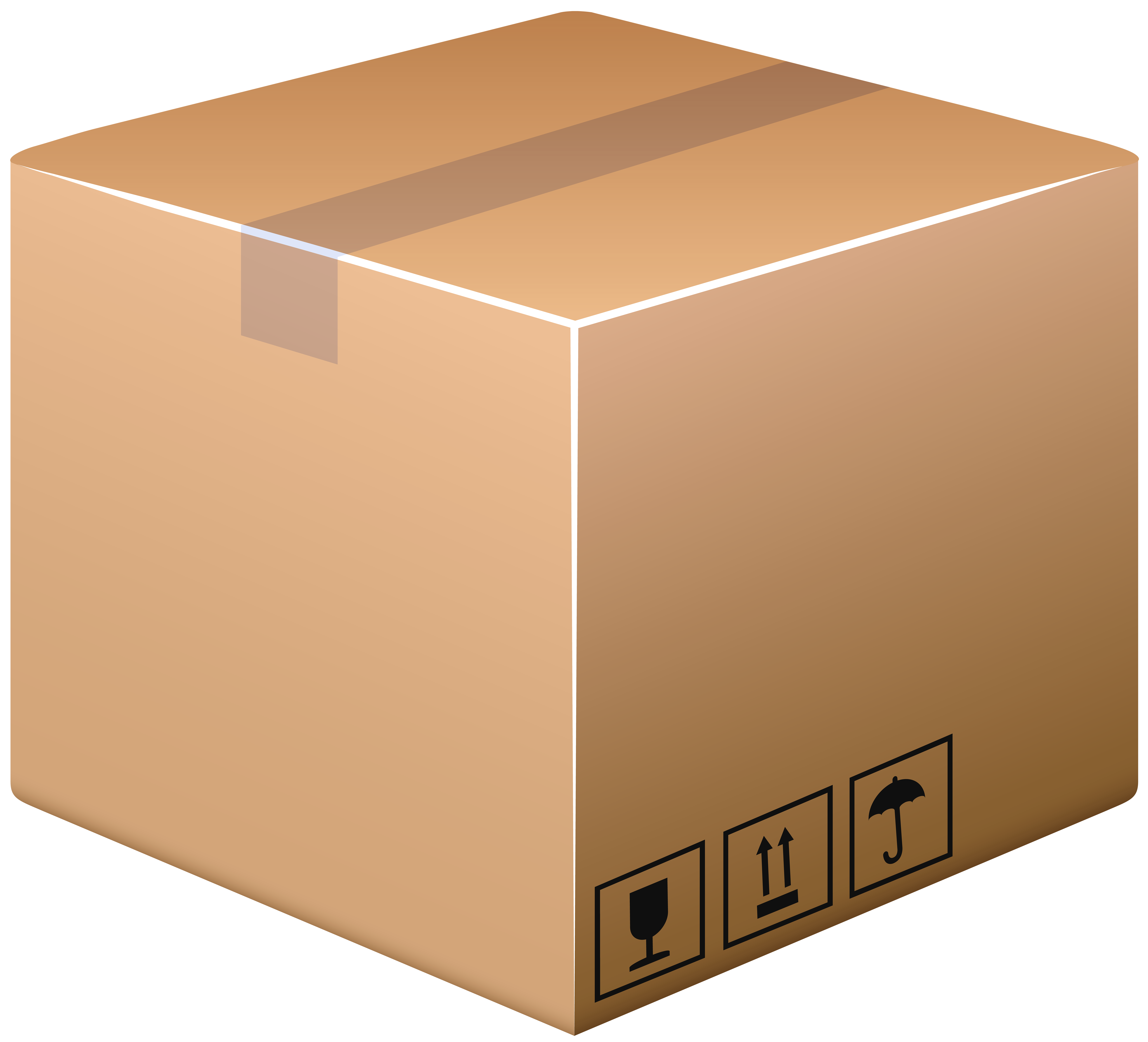 Icon 5