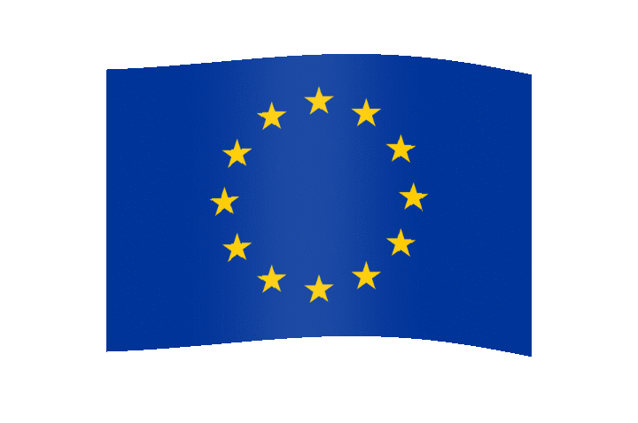 European Union Flag